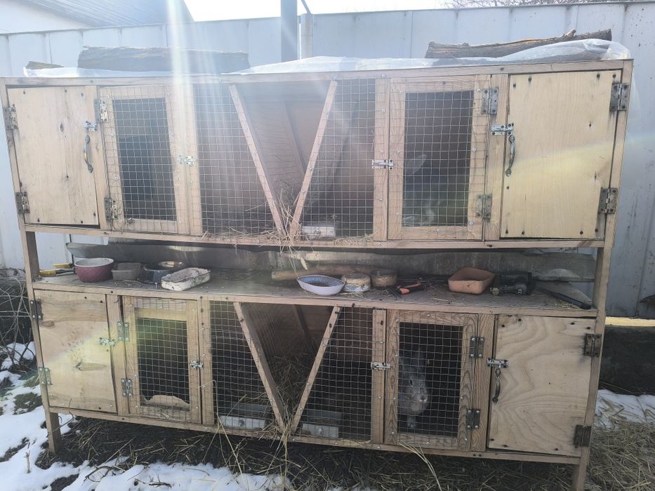 Продам мини ферму с кроликами!