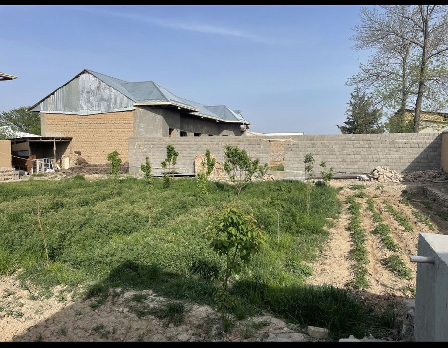 Земля с фруктовыми деревьями