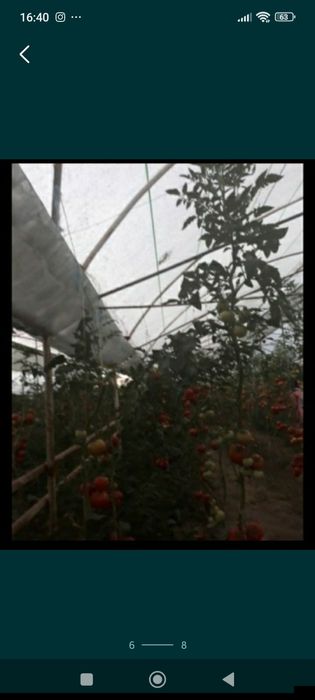 Таер бизнес типлиса сотилади