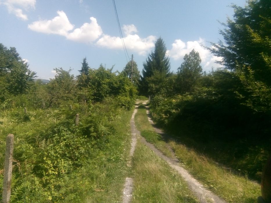 Продава се Земеделски имот в Габрово, Шенини -  кв.м за 17 €/дка - Снимка #2