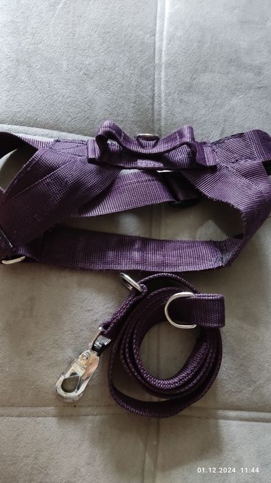 Шлейка,ошейник для собаки.