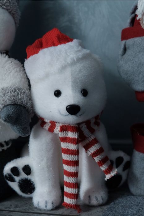 Евтин фотограф в  София