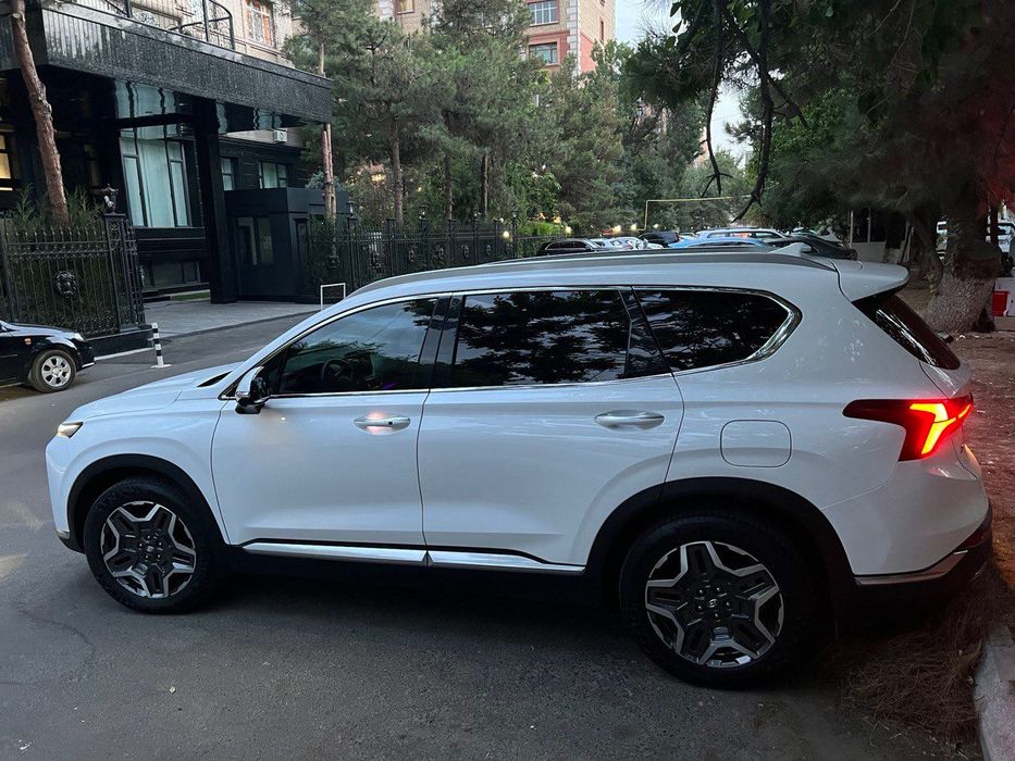 Hyundai santafe 2021