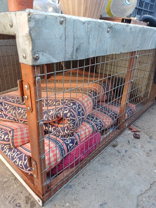 Клетки не дорого