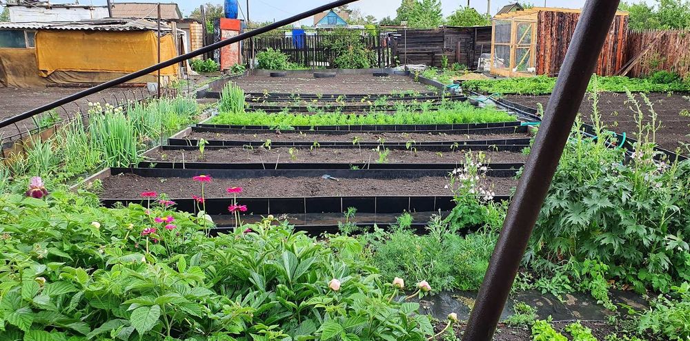 дачу продам сады 1