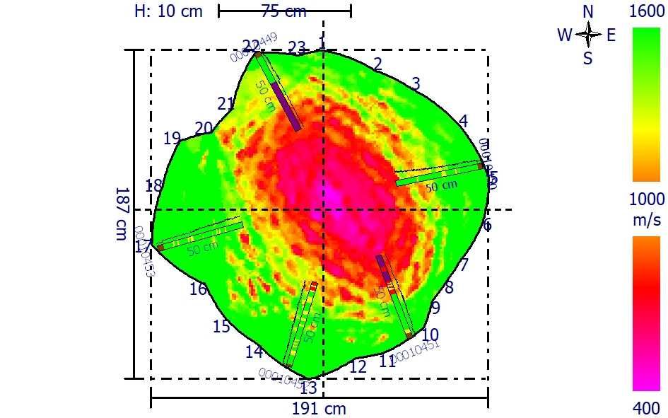 Арборист - Стара Загора