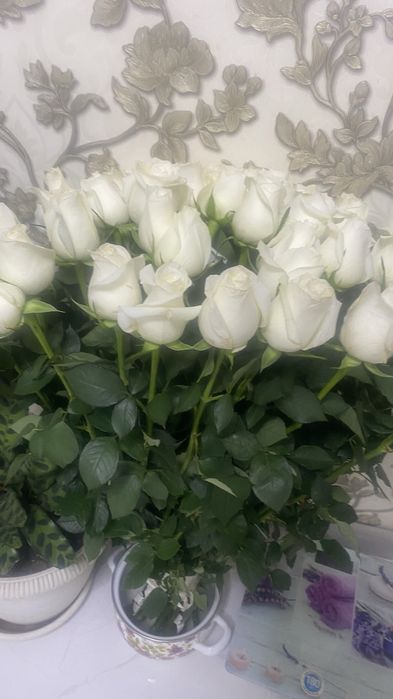 Цветы свежиеееее 51 роза