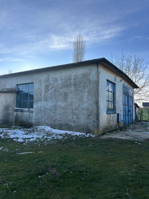 Vand hala cu teren intravilan