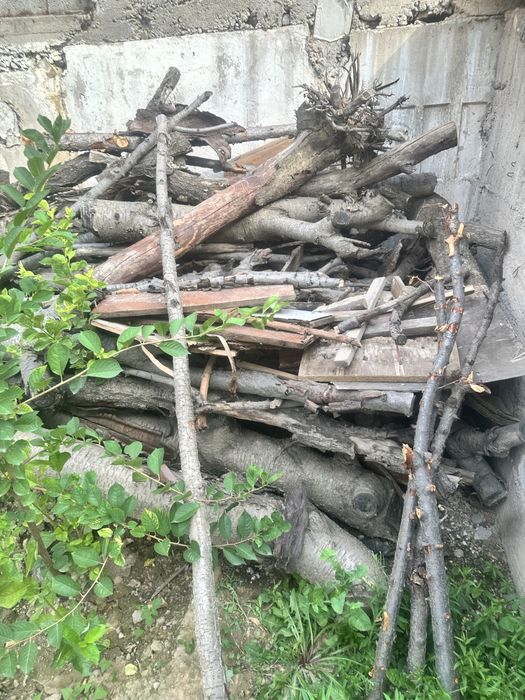 Дрова для розжига и прочих