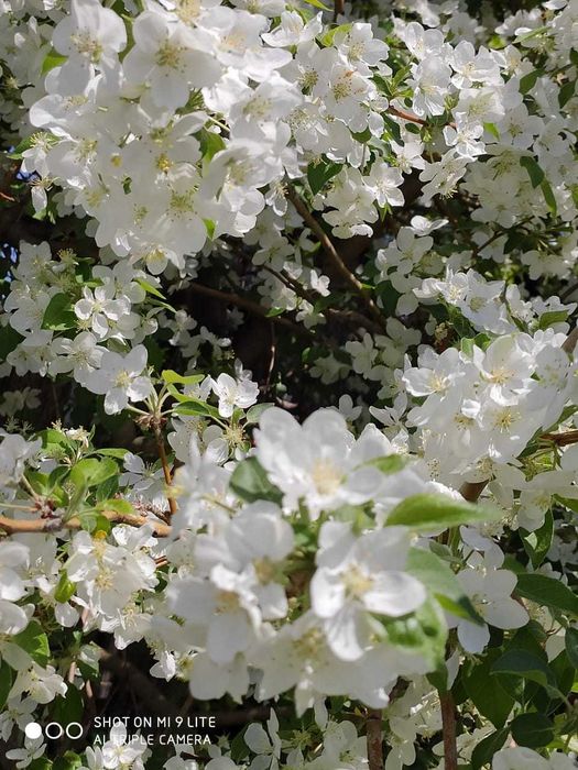 дача на федоровском водохранилище