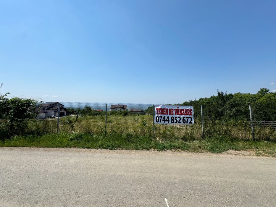 Teren paun la strada principala