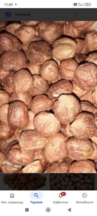 Продавам български биолешници