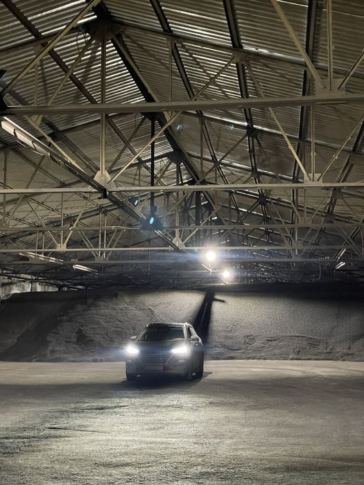 Продам подсолнух