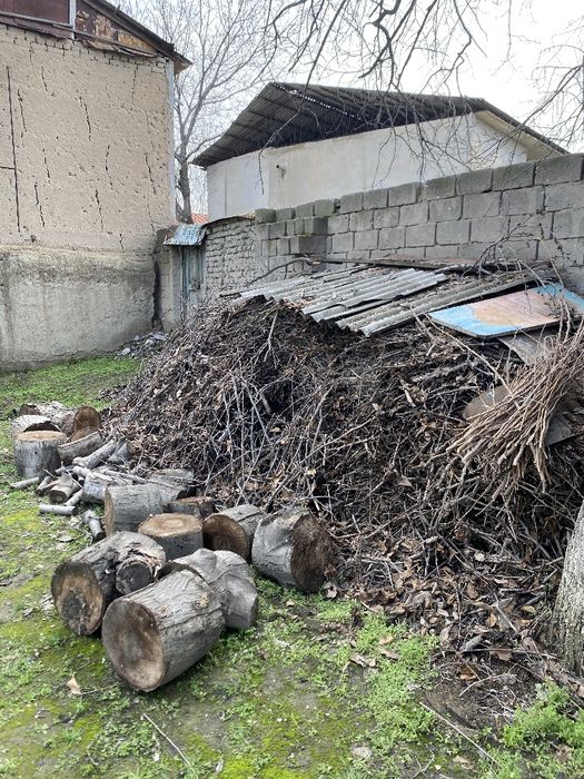 O’tin quruq bor 2 Traktor hajmiga teng Srochna sotiladiv