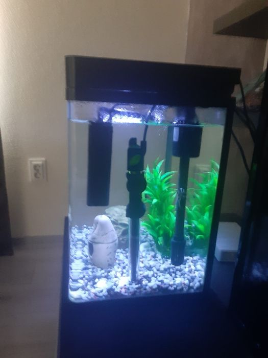 Vand urgent acvariu 60 l