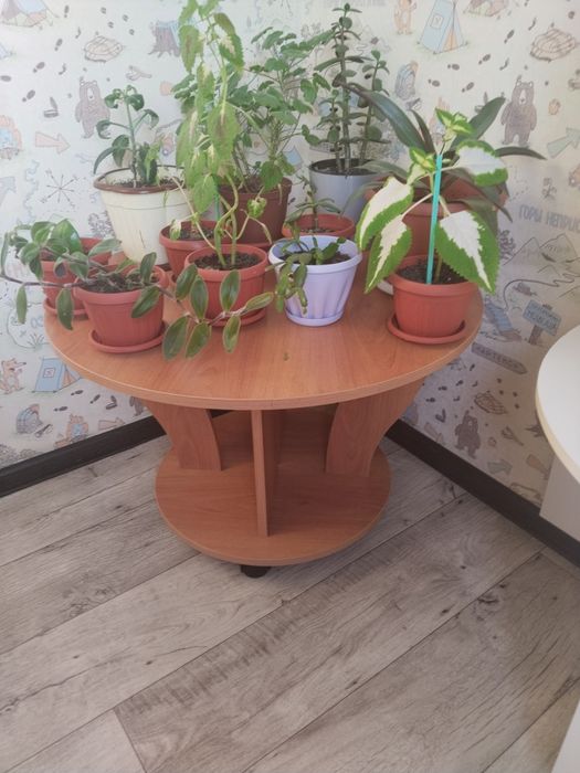 Продам журнальный столик за пять тысяч