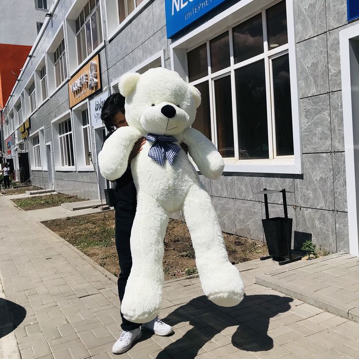 Плюшевые мишки