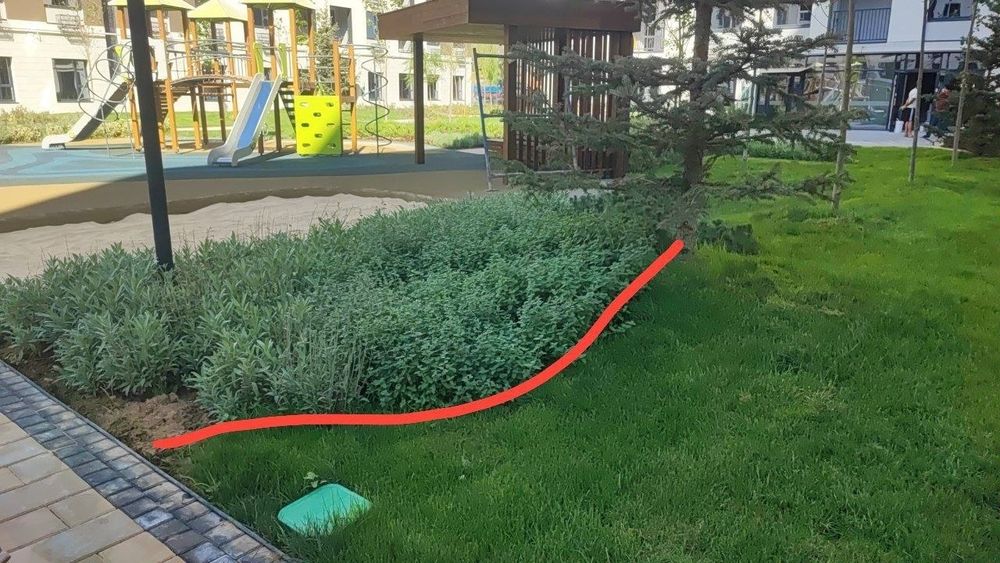 Gazon daraxtlar ekish va Dorilash xizmari