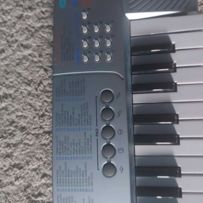 Orga Casio (pian baterii) 100 de tonuri 5 cantece demo pret negociabil
