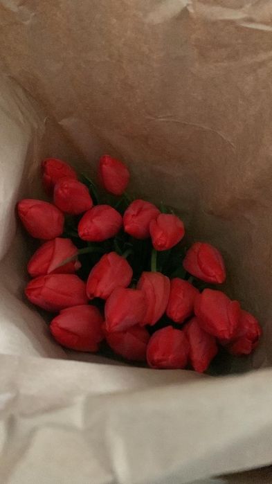 Тюльпаны предзаказ