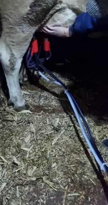 Сут согадиган аппарат Туркияник барбарос и