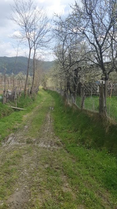 (lângă horezu) – ansamblu terenuri 9.364