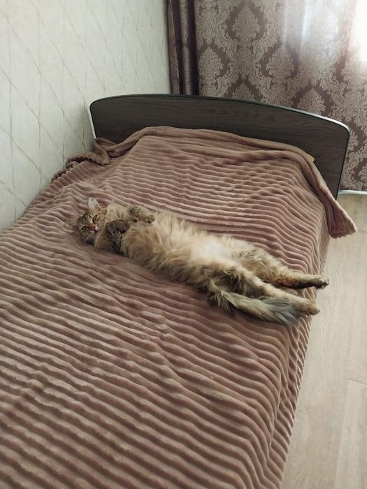 Продам кровать 900×2000