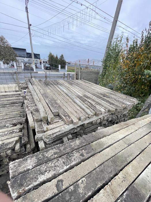 Spalieri pentru vie si gard