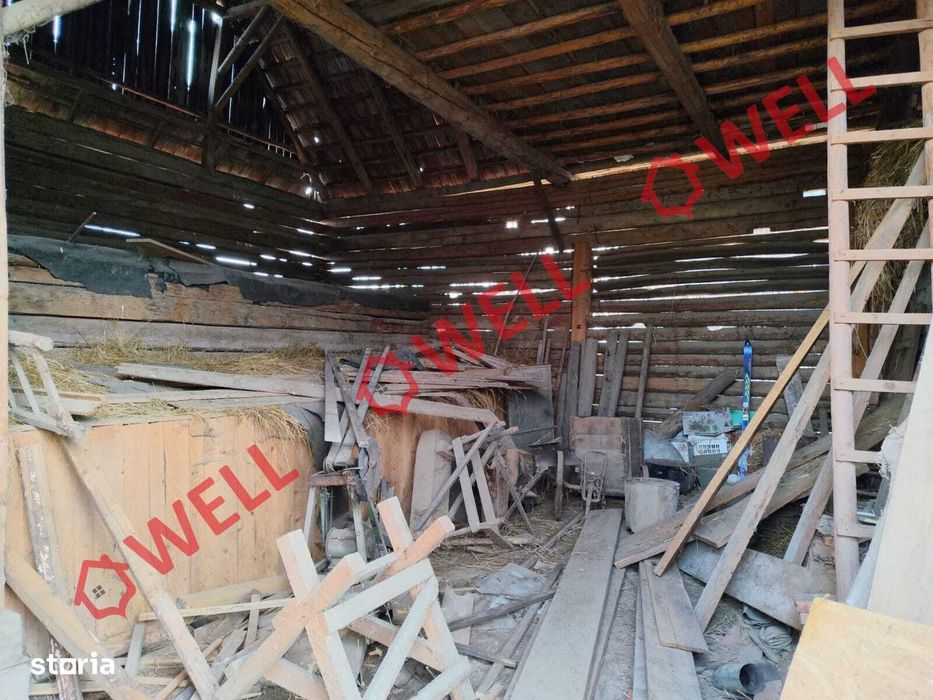 Proprietate cu 2 case de vânzare în Tamașfalău!