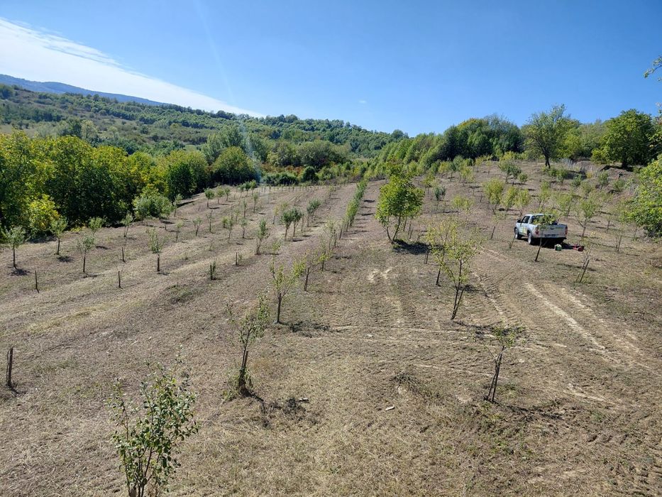 Curațam terenuri impadutite