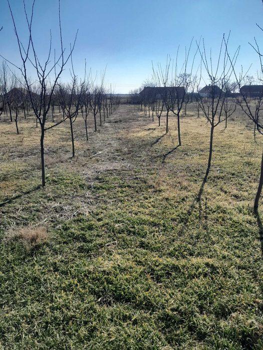 Casa de vanzare Graniceri cu teren  generos 4500mp