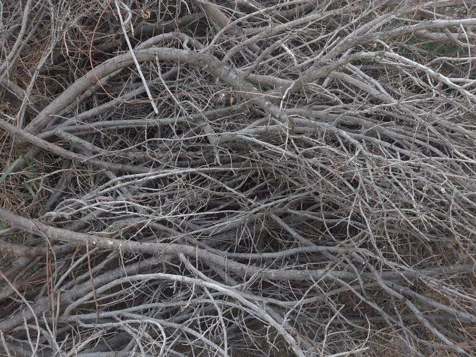 Шох шабба тандир ва учок утин сотилади