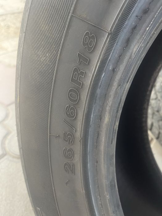 Terramax a/t Sailun 265/60R18
