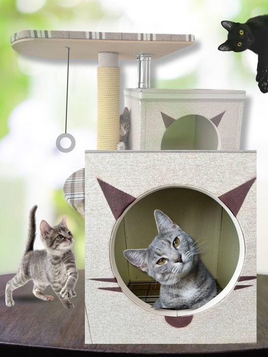 Продаётся домик для кошек.