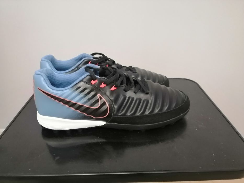 Зальники, сороконожки