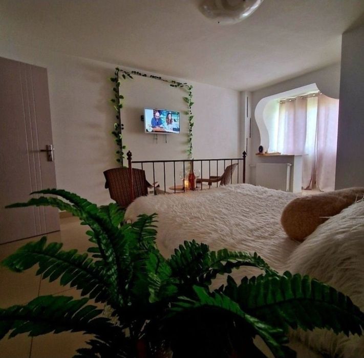 GARSONIERA FITZA  în Regim hotelier Craiova/Cazare Craiova