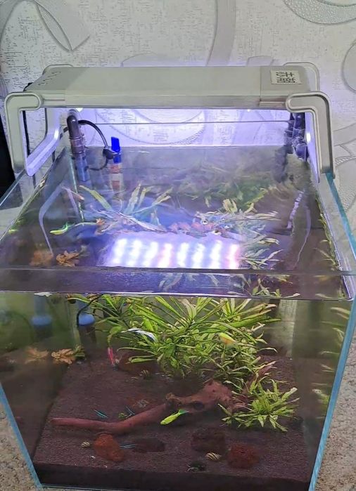 Аквариюм шұғыл түрде сатылады.Келісім бар .