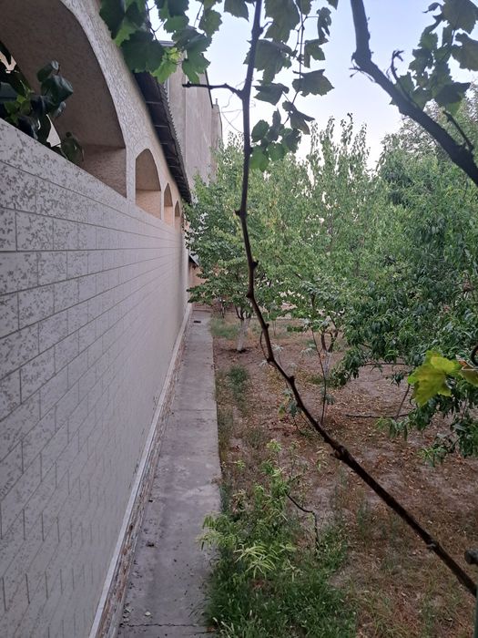 Продаётся свой дом  8 соток на Циолковского  М.Улугбекский  Олтинтепа