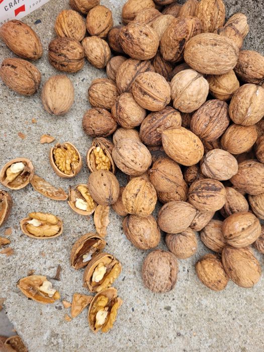 Vand samburi de nuci bio