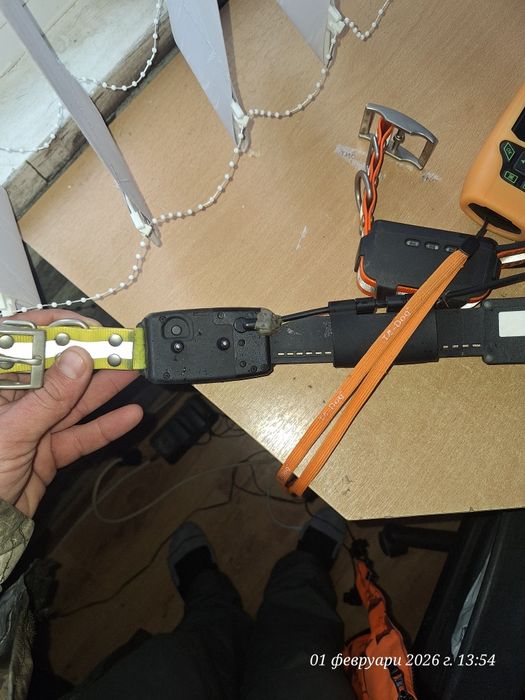 GPS TR DOG с две каишки