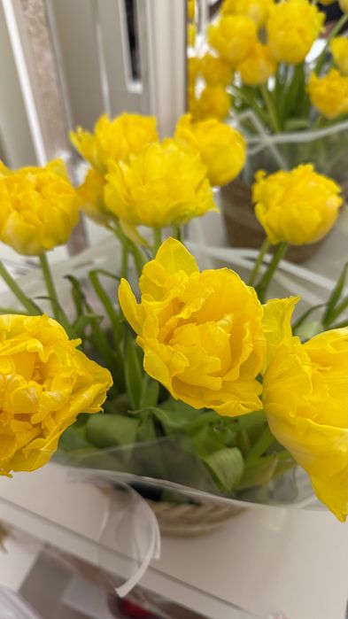 19 пионовидных тюльпанов