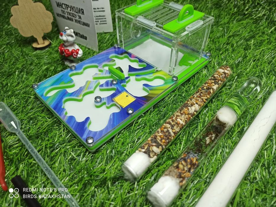 Муравьиная ферма от 5500. В наличии в городе АЛМАТЫ!