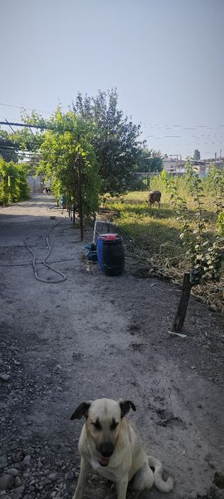 Продается свой загородный участок Срочно!!!