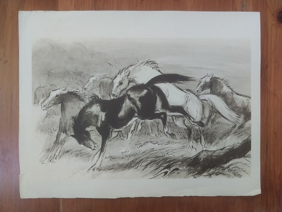 11 LUCRĂRI RARE - 1946-1948 - Incredibile