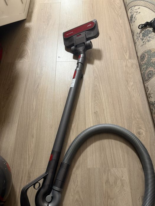 dyson big ball animal pro 2