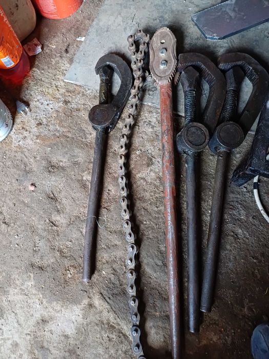 Cleste pspagal de vănzare de 2" si de 3"