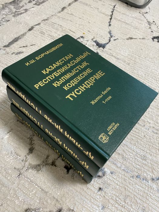 Борчашвилидің қылмыстық кодексіне түсіндірмесі