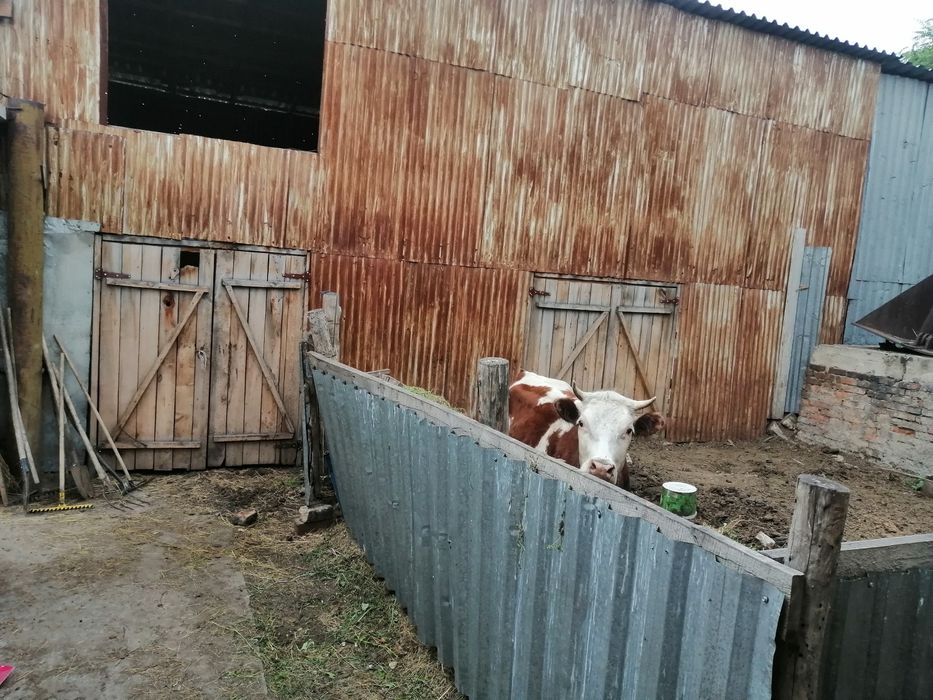 Продам сарай на разбор