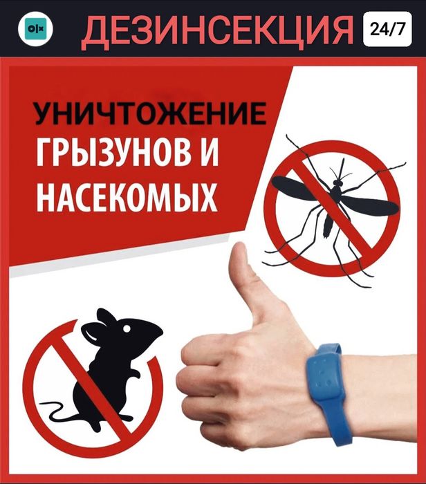 Дезинфекция от всех насекомых