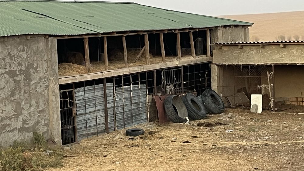 Продается времянка в селе Теспе